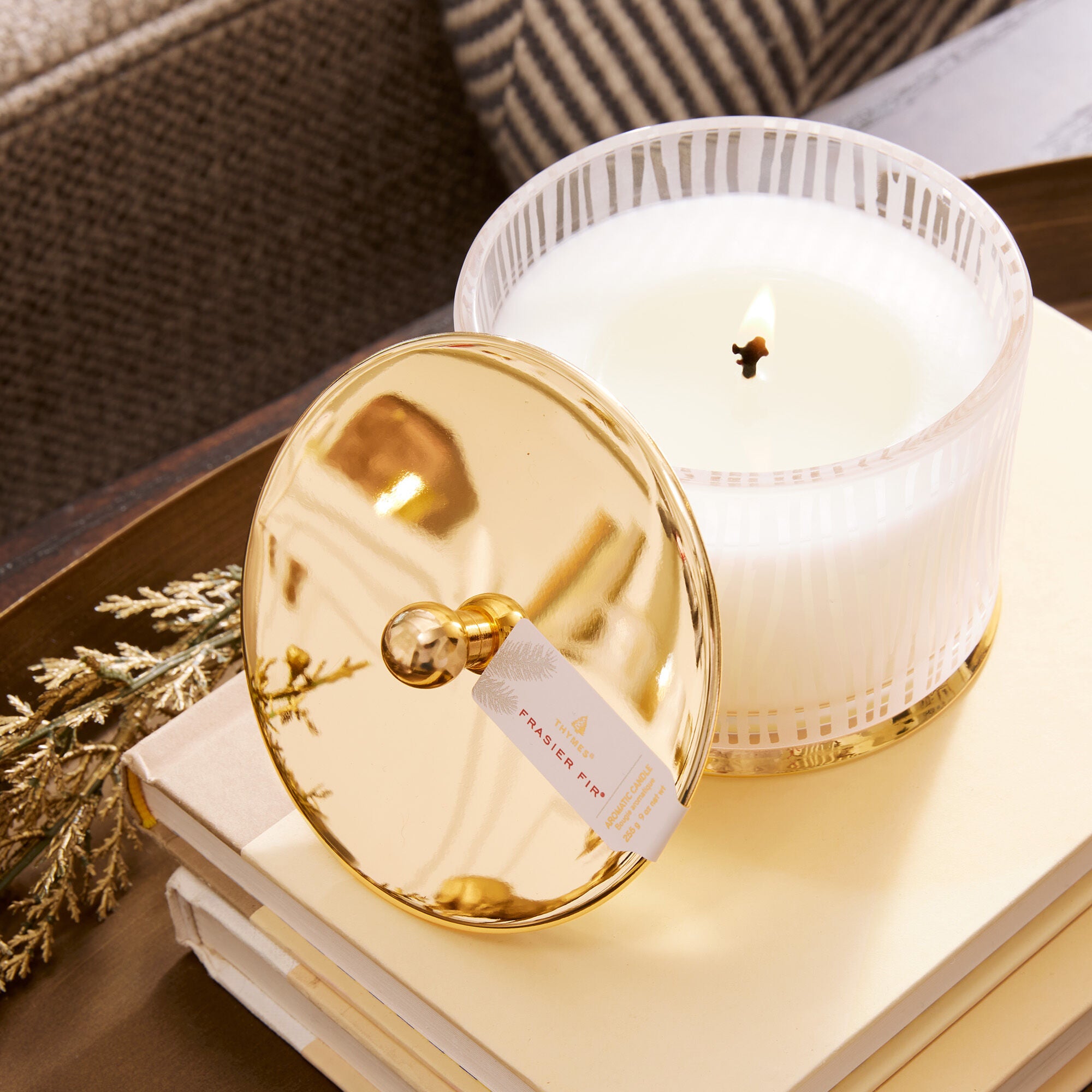 frasier-fir-gilded-short-frosted-luminary-3.jpg