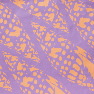 Miter Lineup Cabin Crew Kit